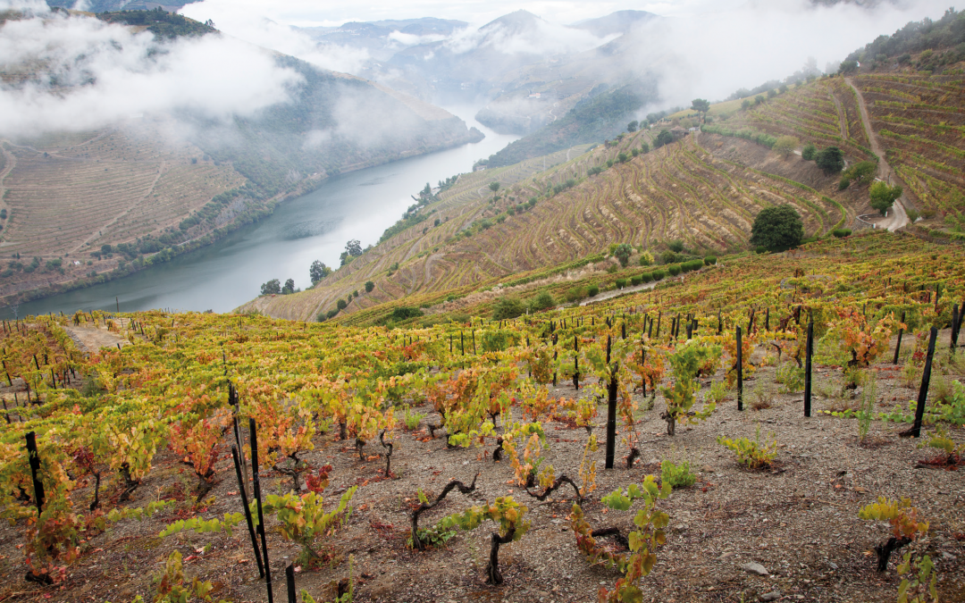 Portugal: te water in de Douro