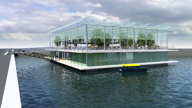 Floating Farm Rotterdam: koeien op het water, midden in de stad