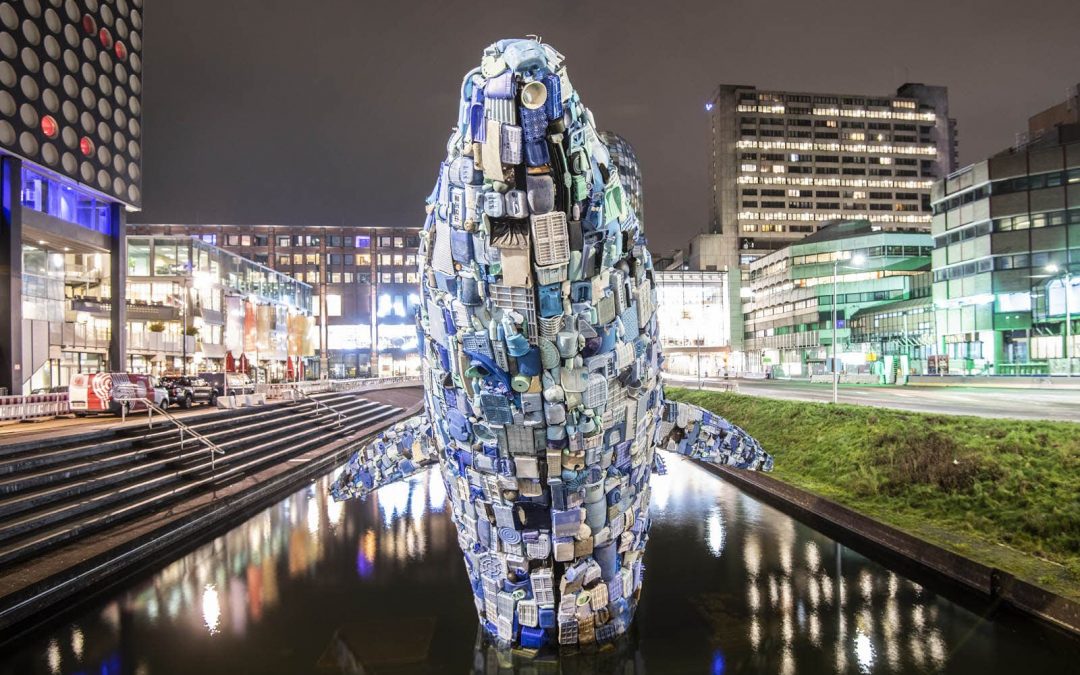 Video: een walvis in de Utrechtse Catharijnesingel