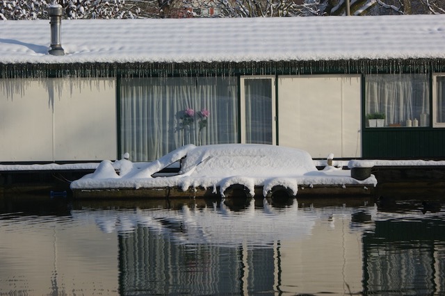 Sneeuwstress en wintertips