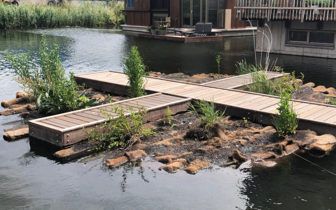 Duurzaam wonen: drijvende tuin maken