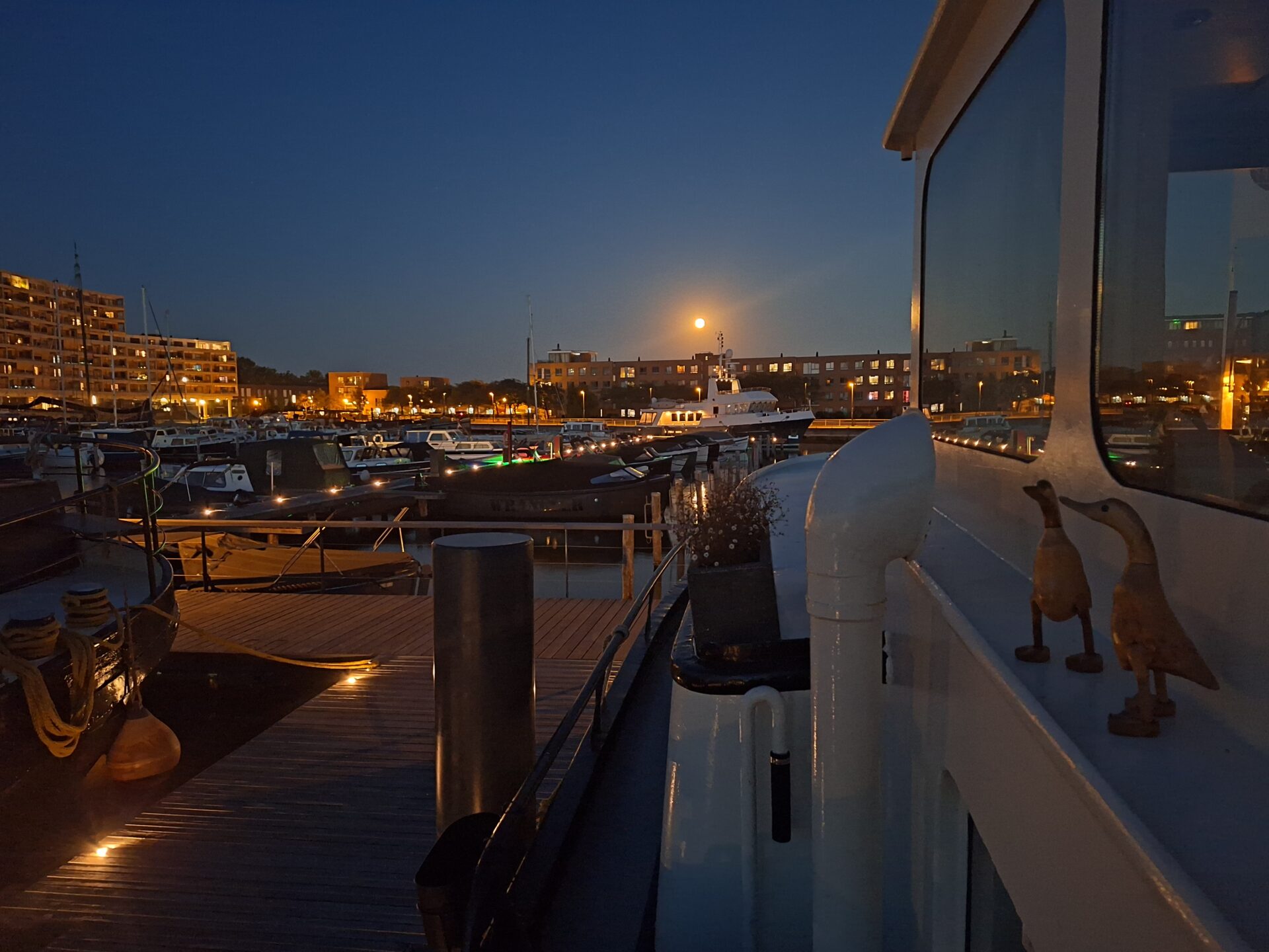 Nacht sfeerfoto Marinapark Houthaven Zaandam
